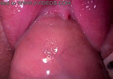 La femme de mon frère gicle fort après que je lui ai baisé sa chatte serrée