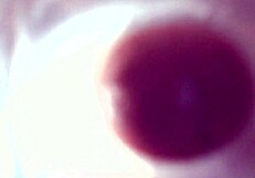 플레시라이트 컴 엑스플로전, 더러운 자지 정액이 흘러내림