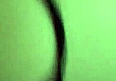 Как я будила бойфренда большими сиськами, отодвинув стринги, сосанием и скачкой