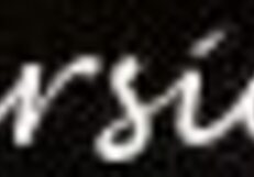 無料版 - 東京の無修正ヤバい痴女たちが毛深いマンコで大暴れ