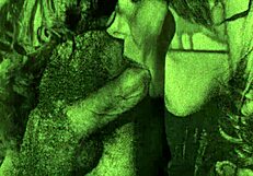 Винтидж поглед тъмна фенер забавление представя тайния ми живот дневниците на 19-ти век английски джентълмен