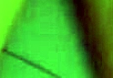 לטינית תמימה עם ציצים טבעיים רוכבת זין גדול בהום מייד.