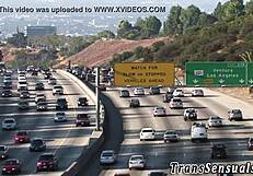 Shemale felfalja a transi puncit strapon fetisszel