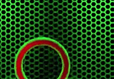 アレックス・レジェンドがペニー・パックスのマンコを情熱的にドリル ミルフクーガーのディープスロートオーギー