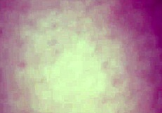 공공 야외에서 Chupando Gostoso 즐겨