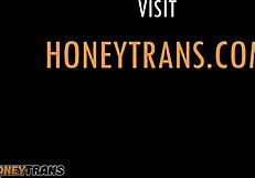 Эта транс с пышной попкой Bruna India играет с игрушкой в заднице до оргазма?