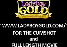 レディーボーイMosがタイシーンでホットビキニを着こなす