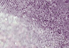 Upognila sem se in me je neznanec pojebal v rit v javnosti na počitnicah pred mojim fantom