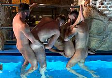 伙计们，准备好桑拿房的狂野跨种族群交了吗？