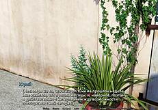 Sunshine Love Część 27: Ostry seks na plaży z boską laską