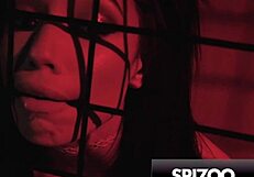 Alexis Tae bur og straffet av massiv kuk på Spizoo