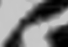 Mummo Carmenin villi cowgirl ja lähetys sperma ratsastus