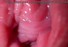 अरे वाह! मेरी चूत में झड़ जा, गंदी बातें और हॉट स्प्रेडिंग के साथ