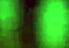 Provocare ejaculare 10 minute cu Lady Fyre JOI POV femdom pe fund mare