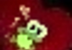 она орет засовывая пальцы в жопу в спальне без цензуры