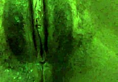 黑珍珠天堂独自在家，用手指猛抠湿逼