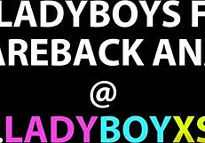 Азиатская ледибой Тонг в голубом бикини для бэребэк веселья