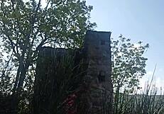 Sex riscant în aer liber cu Maelle în doggystyle brutal 😍