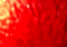 “她修我的指甲真爽，那个拉丁墨西哥业余爱好者用指甲这么熟练，在这个自制视频里！”