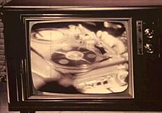 Retro İngiliz kıllı amı sallanan altmışlı yıllar vintage pornosunda parlar