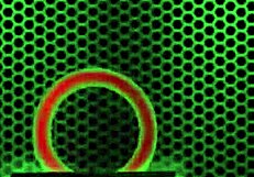 وظيفة جليسة أطفال أنجلينا كاسترو تنتهي بقذف لزج على وجهها