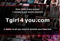 Trans Lena Moon se fait prendre à cru fort par deux tgirls en bas