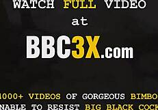 हॉट कॉलेज टीन को बीबीसी ने जोर से ठोका कम्युनिटी सर्विस छोड़ने के लिए