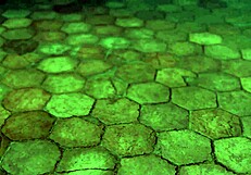 Astarion在《博德之门3》中与怪物阴茎的详细同性性爱场景