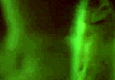 แม่บ้านบลอนด์สวยโดนเย็ดในครัว