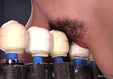 Jsem flexibilní chlupatá děvka, miluju ten intenzivní stroj