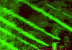 Маћеха добија дупло пуњење на Дан захвалности