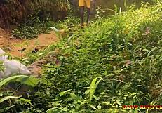 Bedste sex med min kone der knepper på landsbyvejen hvor folk passerer til deres gård