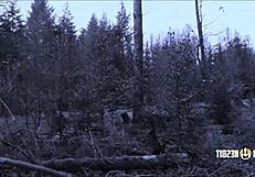 나 루 네스빗과 리아 루이스한테 하드코어 페깅 당해