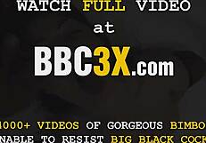 Požrešna britanska lepotica hrepeni po dveh BBC v toaleti akciji