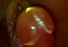 Black pussy gets filled with cock
