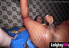 Asian shemale blowjob in fishnet gives a sensual blowjob