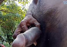Open air amateur black gay guy jerks off his big cock
