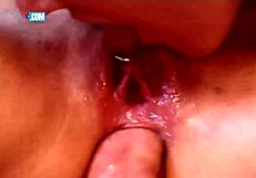 Big cocks anal and ass fucking in the kitchen
