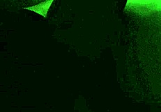 stay tuned for the thick white girl from the usa