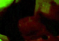 She sucks my dick so hard that my cum explodes in massive loads.