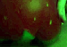 I wank with my squishy toy