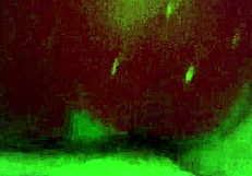 I wank with my squishy toy