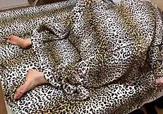 Young stepsister proves my straightness with intense doggystyle and missionary creampie