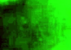 Latina babe licks cock in POV, gets creampie on face