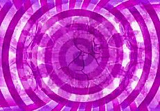 Slut mode activate! Tease her with slutty actions.