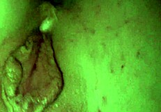 mah00265 mp4 file features basic fucking scenes with pussy and cock