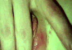 mah00265 mp4 file features basic fucking scenes with pussy and cock