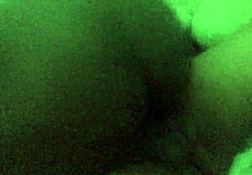 Ebony Girlfriend Fucking!