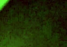 Young Amateur Teen Gets Fucked Deeply