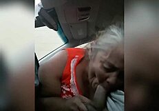 Rose Gives Suggestive Blowjob To Cock